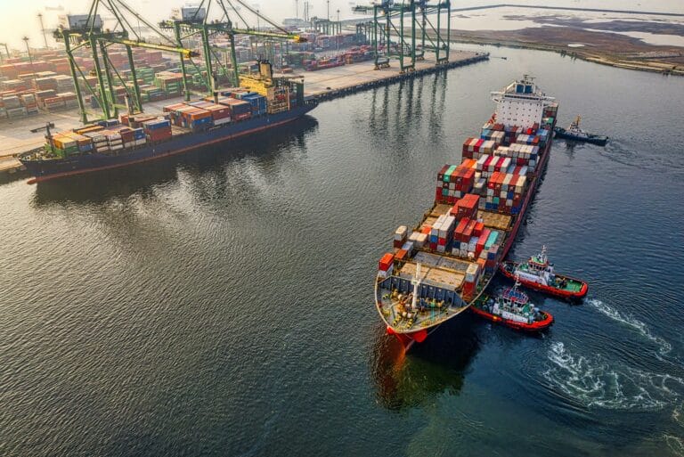 Special Valuation Branch in India: why customs and international logistics affect the profitability of companies
